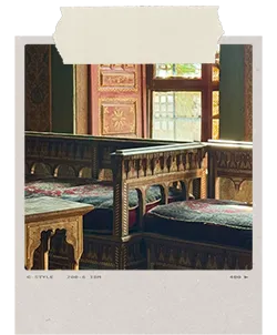 Web development project